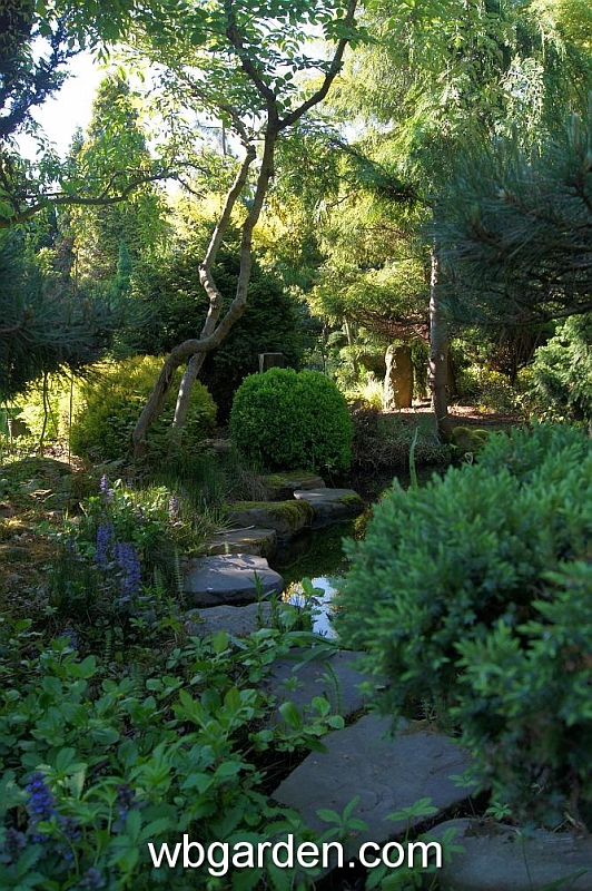 wbgarden spring 65.JPG